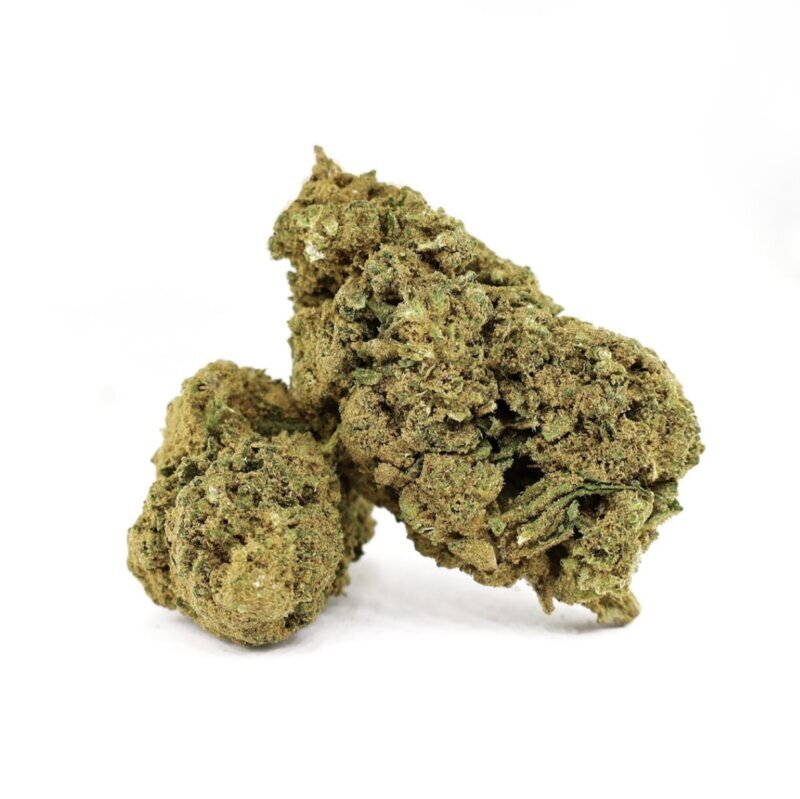 WHOLESALE FLOWER SNOW WHITE DELTA-10