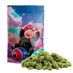 WHOLESALE FLOWER KIM JUNG KUSH HEC-10