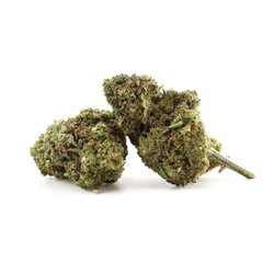 WHOLESALE FLOWER RASPBERRY COUGH 10-OH+