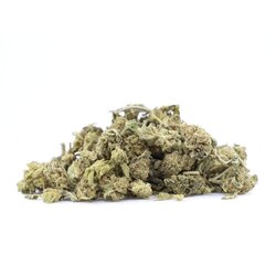WHOLESALE FLOWER APPLE FRITTER SMALL BUDS 10-OH+