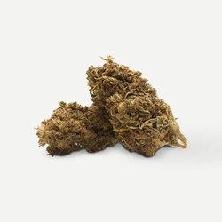 WHOLESALE FLOWER LA CONFIDENTIAL 10-OH+