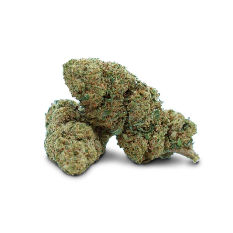 WHOLESALE FLOWER TK41 H5 BLEND