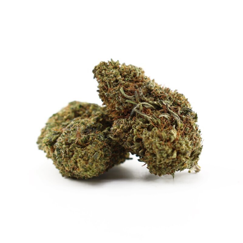 WHOLESALE FLOWER BASTARDO 420 H5 BLEND