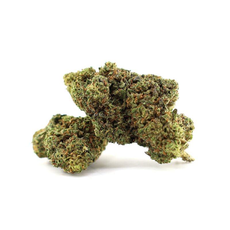 WHOLESALE FLOWER BLUEBERRY MOJITO H5 BLEND
