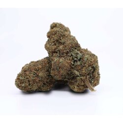 WHOLESALE FLOWER FORBIDDEN FRUIT H4CBD
