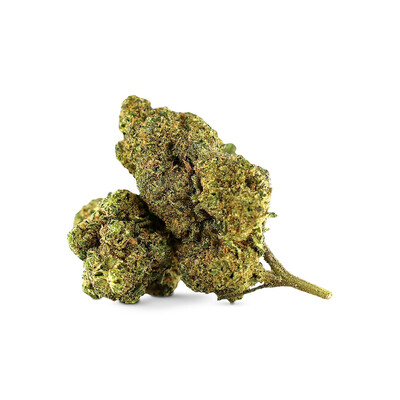 WHOLESALE FLOWER LA CHUPACABRA MAGIC SAUCE