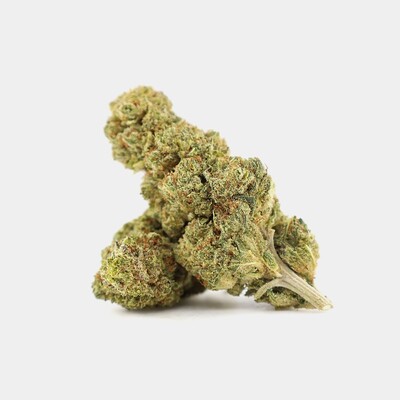 WHOLESALE FLOWER BLUE MANGO 10-OH+