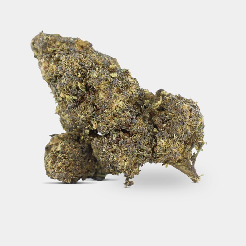 WHOLESALE FLOWER CASPER 10-OH+