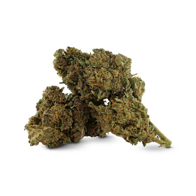 GREAT WHITE SHARK FLOWER DELTA-10 50%