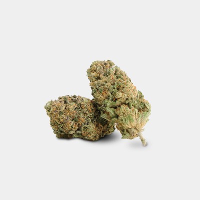 Cookie Dough CBN+ 25%