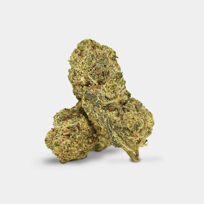 Flying Dutchman THCA 25%