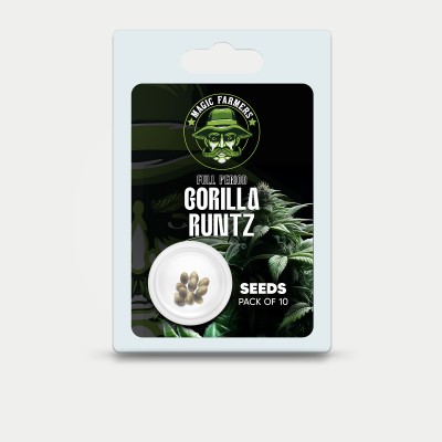 THC Seeds Gorilla Runtz x10 (x25)