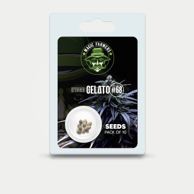 THC Seeds Gelato x10 (x25)