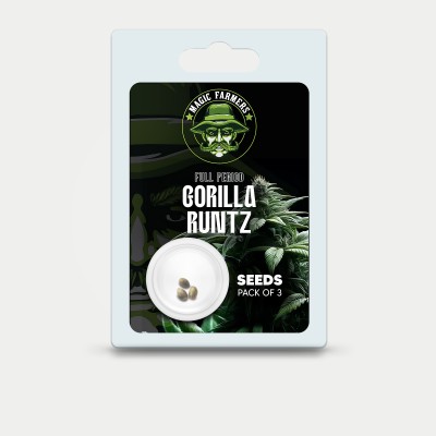 THC Seeds Gorilla Runtz x3 (x25)
