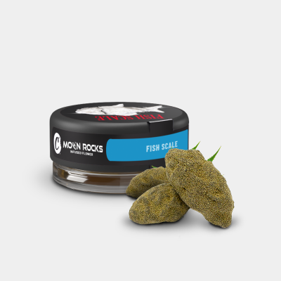 Moonrock COOKIES Fish Scale Infused (Box of 10 units)