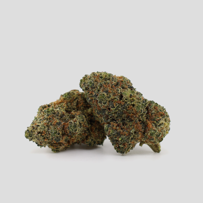 Area 51 CBG9 40%