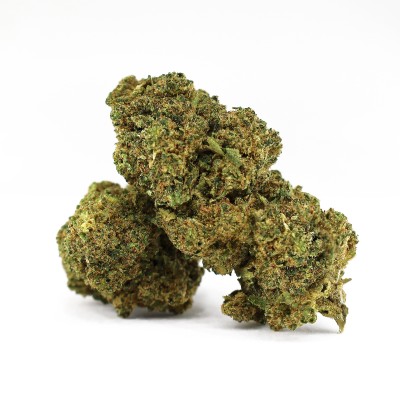 OBAMA RUNTZ FLOWER DELTA-10 50%