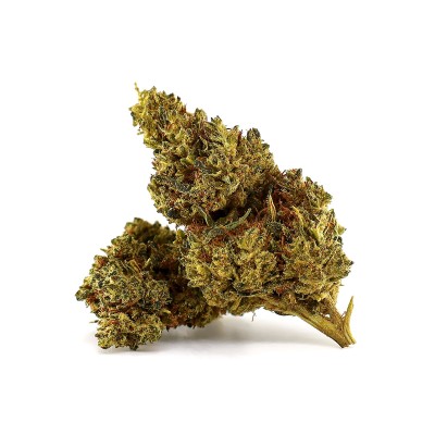 CRITICAL 2.0 FLOWER DELTA-10 50%
