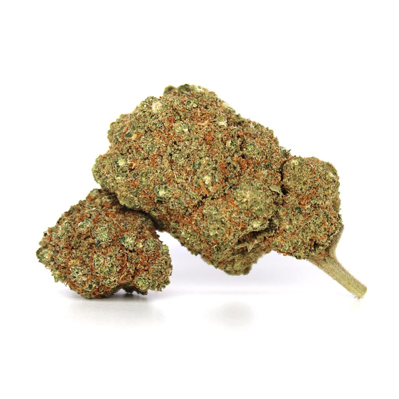 Rainbow Sherbert 11 Flower DELTA-10 50%