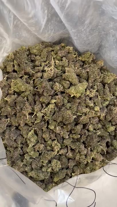 Purple Grape video