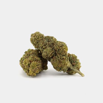 blue-mango-10oh-mf