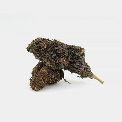 chocolatta