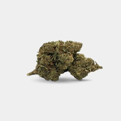 mimosa-MF