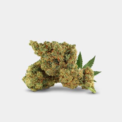 weedy-wonka-gris